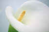 002.JPG (217903 Byte)