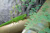 008.JPG (282346 Byte)