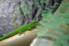 009.JPG (280643 Byte)