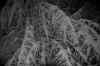 002.JPG (246411 Byte)