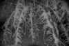 003.JPG (249081 Byte)